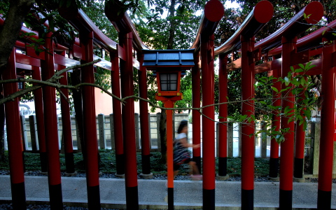 f0103688_22102713.jpg