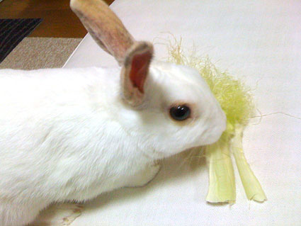 f0201191_22553434.jpg