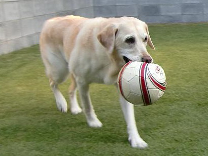 c0028792_23421442.jpg