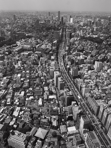 b0119493_2333537.jpg