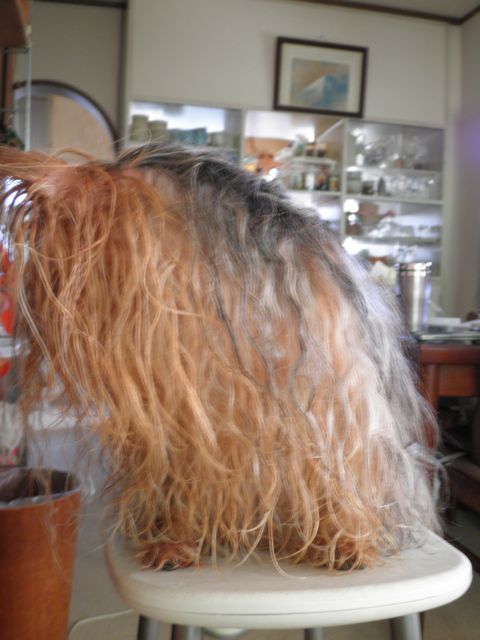 f0130894_2051272.jpg