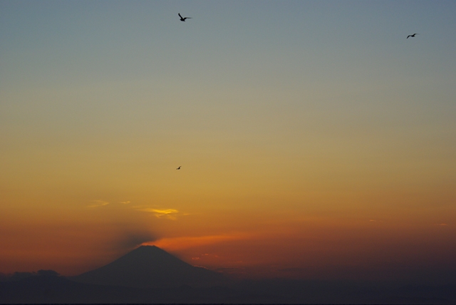 c0125596_213291.jpg