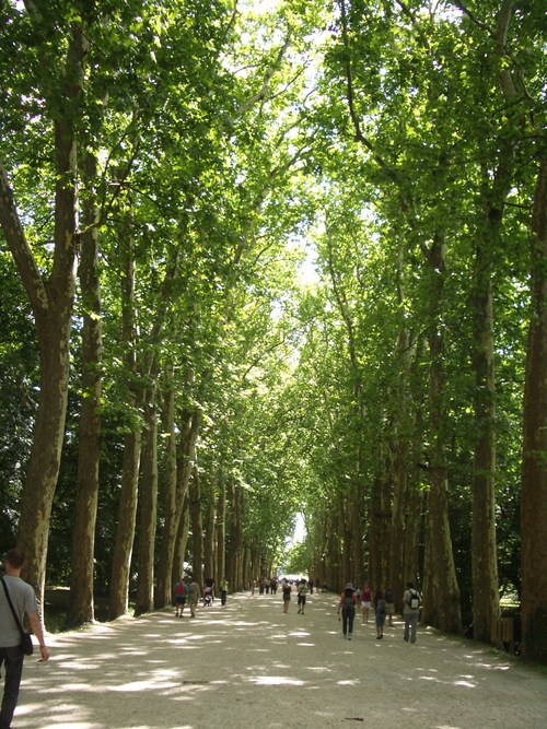 f0188600_4225720.jpg
