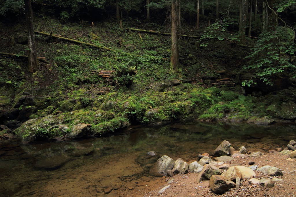 b0138101_22391428.jpg