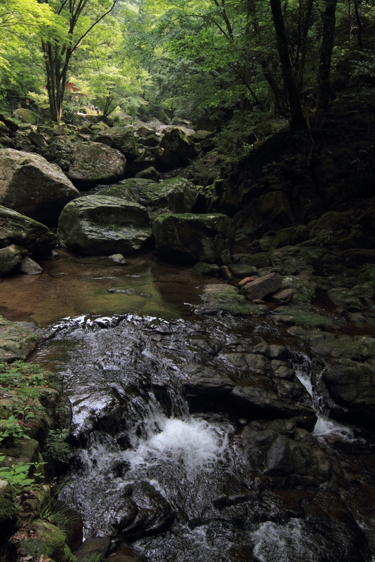 b0138101_22392544.jpg