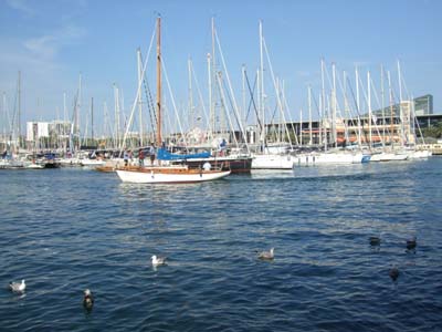 e0149604_5282129.jpg