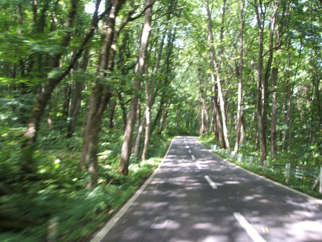 a0116205_1050115.jpg