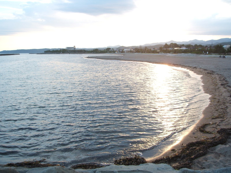a0116205_1145826.jpg