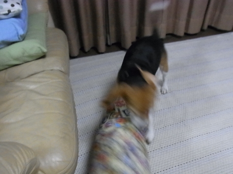 c0205806_22164583.jpg