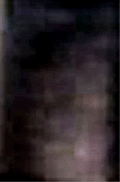 e0103408_13425850.gif
