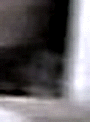 e0103408_13534291.gif