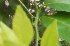 f0221708_9241638.jpg
