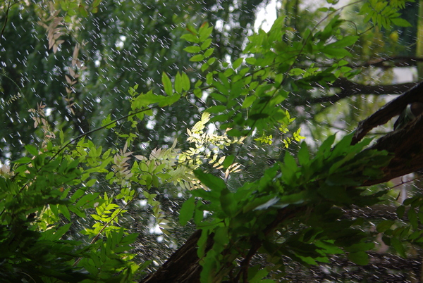 d0147812_1661673.jpg