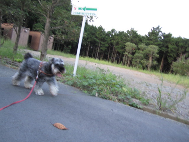 c0219815_23261722.jpg