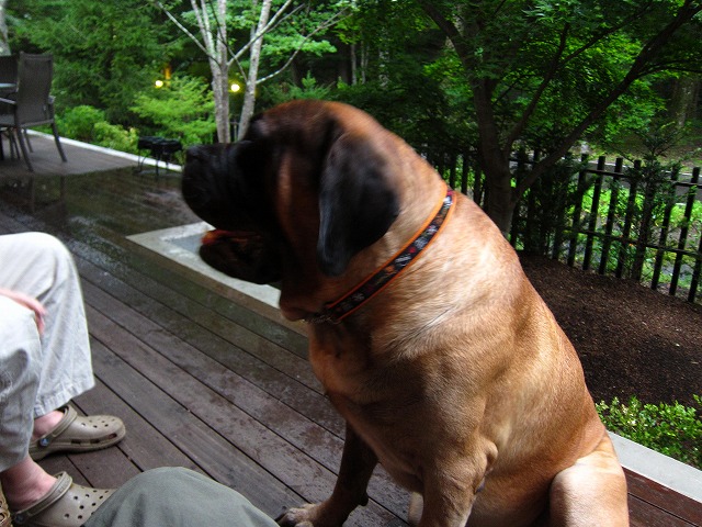 e0192217_14192972.jpg