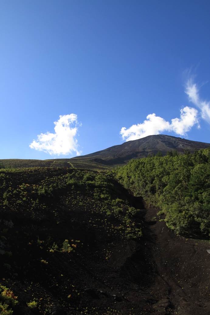 b0146723_18101496.jpg