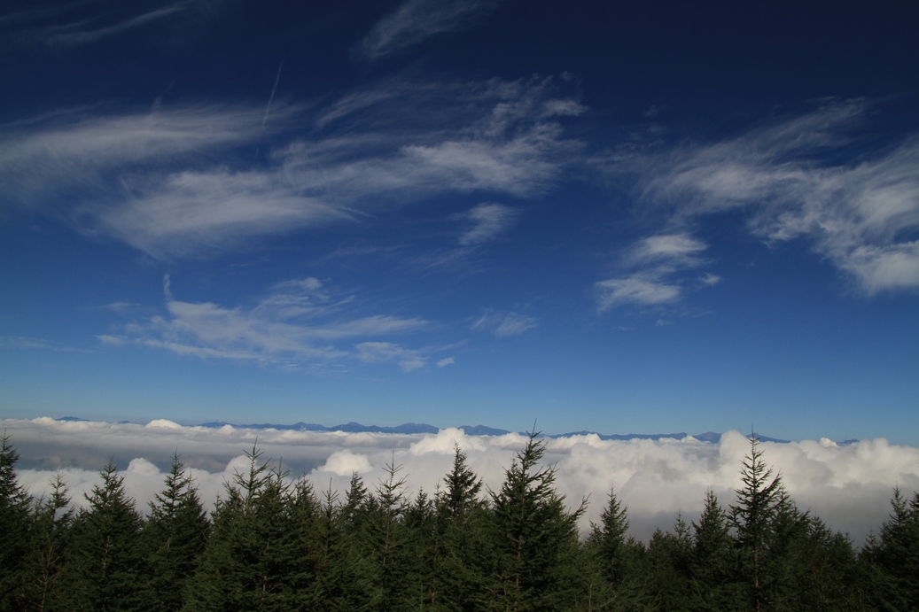 b0146723_1892280.jpg