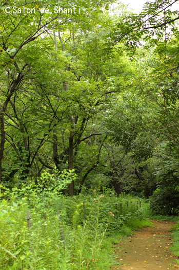 a0169924_23205045.jpg