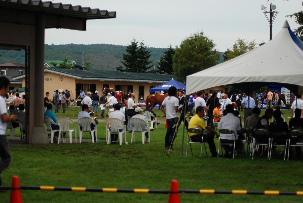 d0109428_18565247.jpg