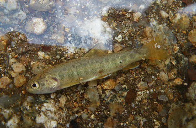 f0118332_13124828.jpg