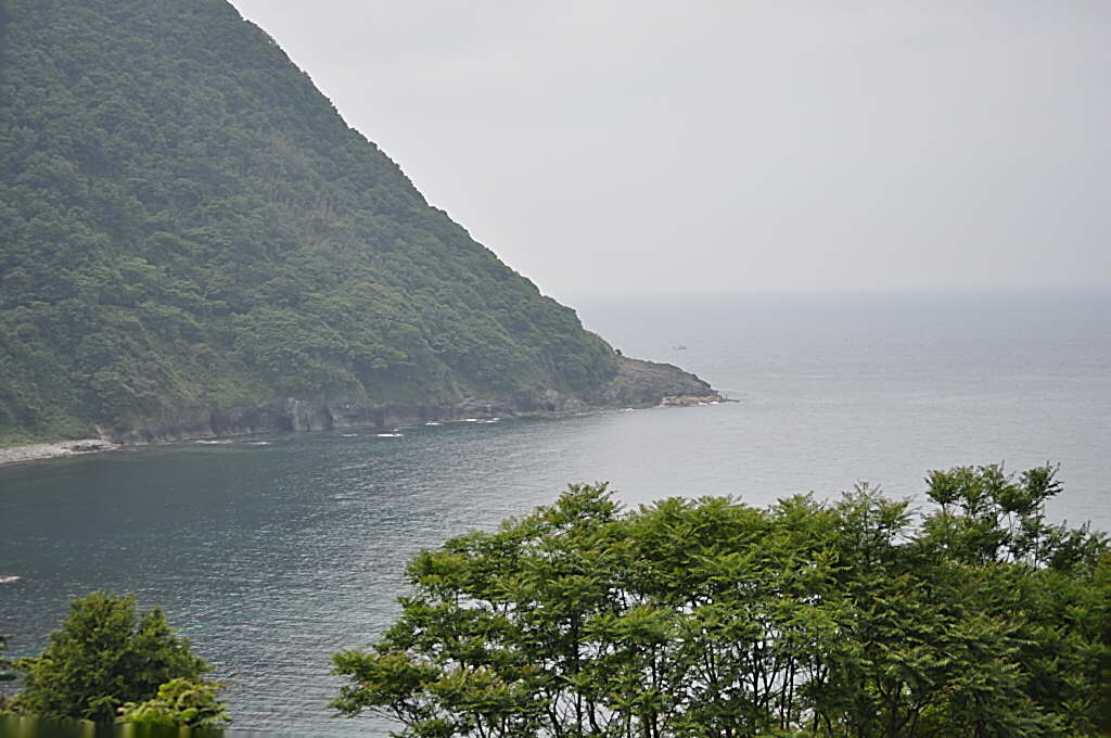 b0129533_237685.jpg