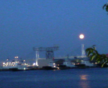 d0014133_13582528.jpg