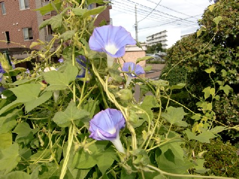 b0012636_15562549.jpg