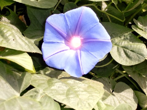 b0012636_15573790.jpg