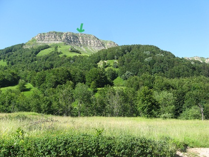 f0234936_1263971.jpg