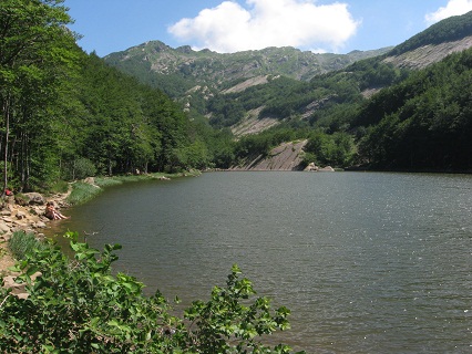 f0234936_1301028.jpg