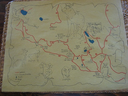 f0234936_1323513.jpg
