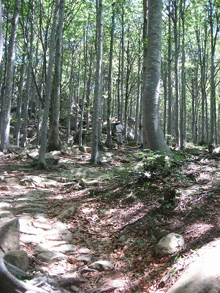 f0234936_1325955.jpg