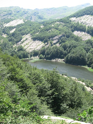 f0234936_1334072.jpg