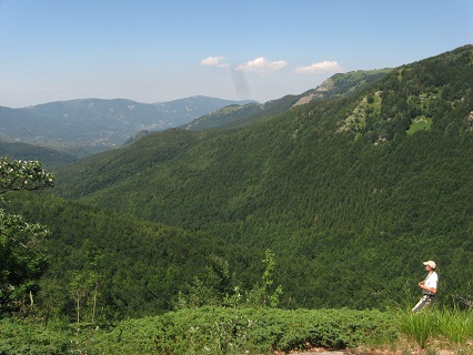 f0234936_1345799.jpg