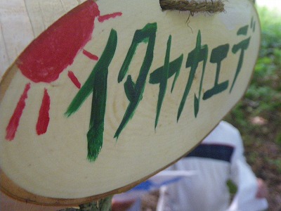 b0196837_15195218.jpg