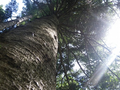 b0196837_152176.jpg