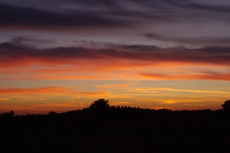 d0092439_6274299.jpg