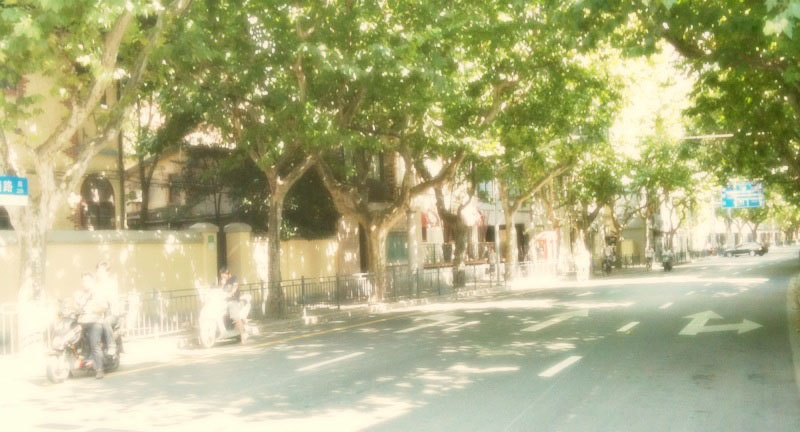 c0170441_1332558.jpg