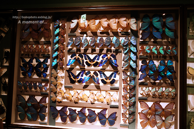 d0143741_016331.jpg