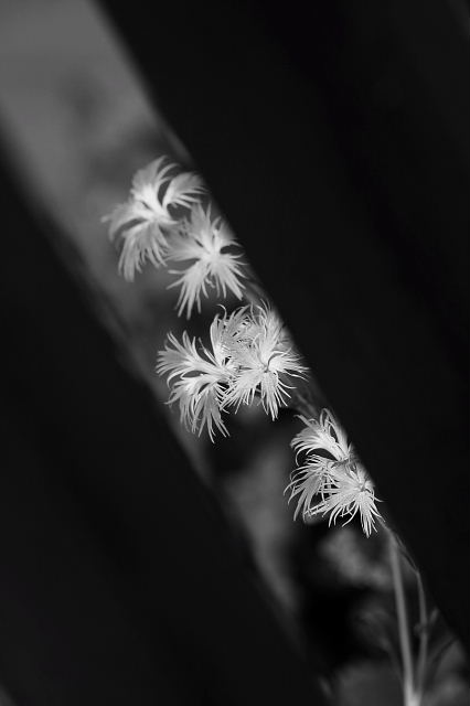 f0214648_21352129.jpg
