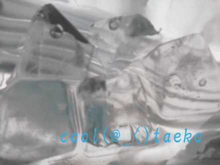c0133653_9452028.gif