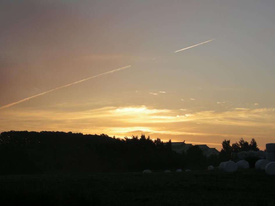 f0027355_2345368.jpg