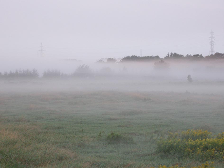 f0027355_2346537.jpg