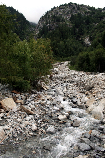 f0077159_2184986.jpg