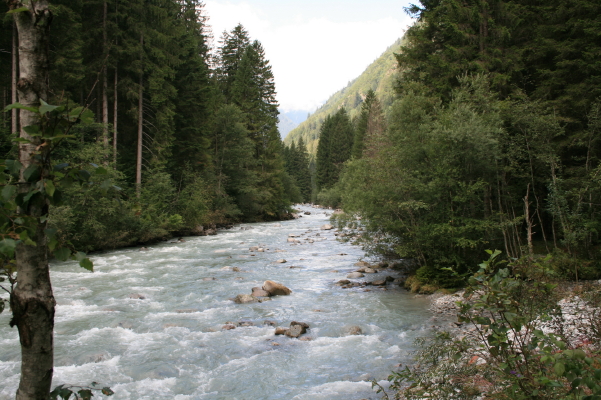f0077159_656479.jpg