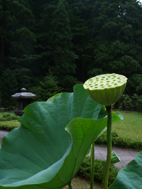 f0203260_23511966.jpg