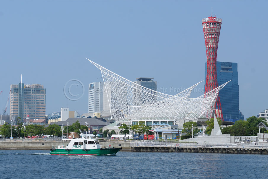 a0111162_2083818.jpg