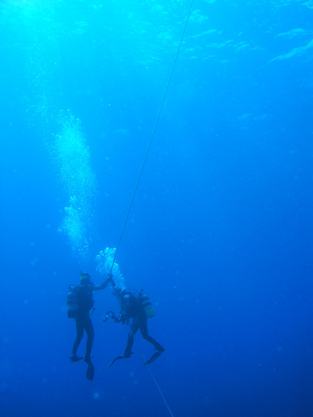 b0062363_2154692.jpg