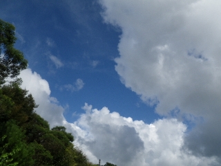 f0055264_20282353.jpg