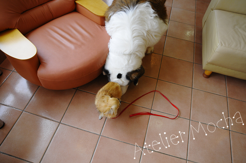 c0026870_2012255.jpg